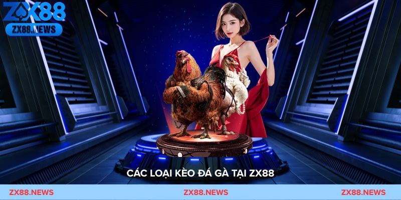 Các loại kèo đá gà ZX88 như Meron, Wala, BDD dễ đặt và minh bạch